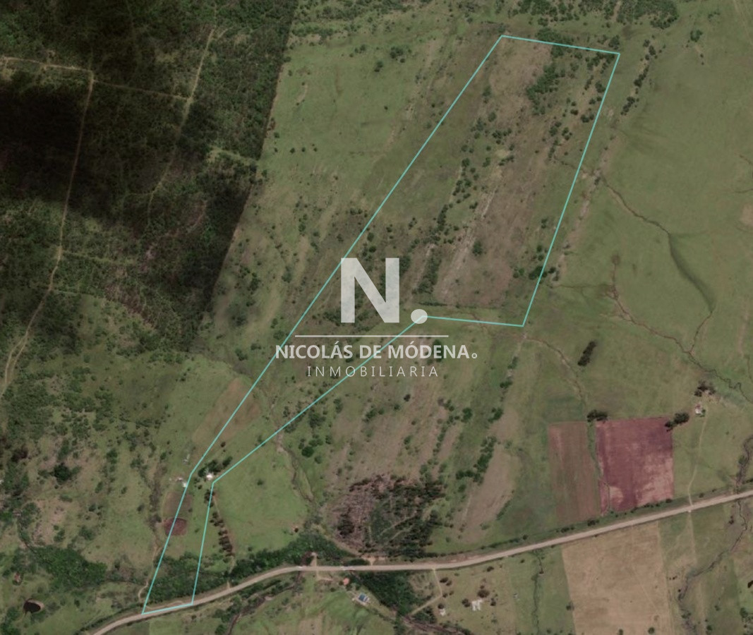 Campo de 38 hs con 8690 m2  limite de maldonado y lavalleja   Consulte !!!! - GoPunta - Portal Inmobiliario de Punta del Este - Maldonado