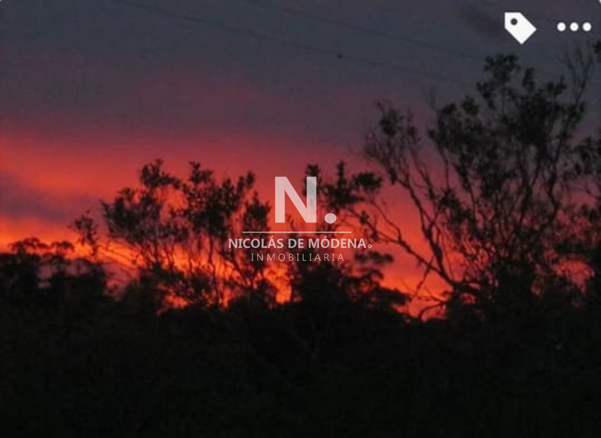 Campo de 38 hs con 8690 m2  limite de maldonado y lavalleja   Consulte !!!! - GoPunta - Portal Inmobiliario de Punta del Este - Maldonado