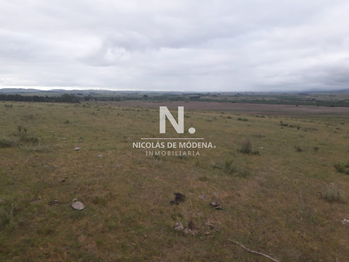 Campo