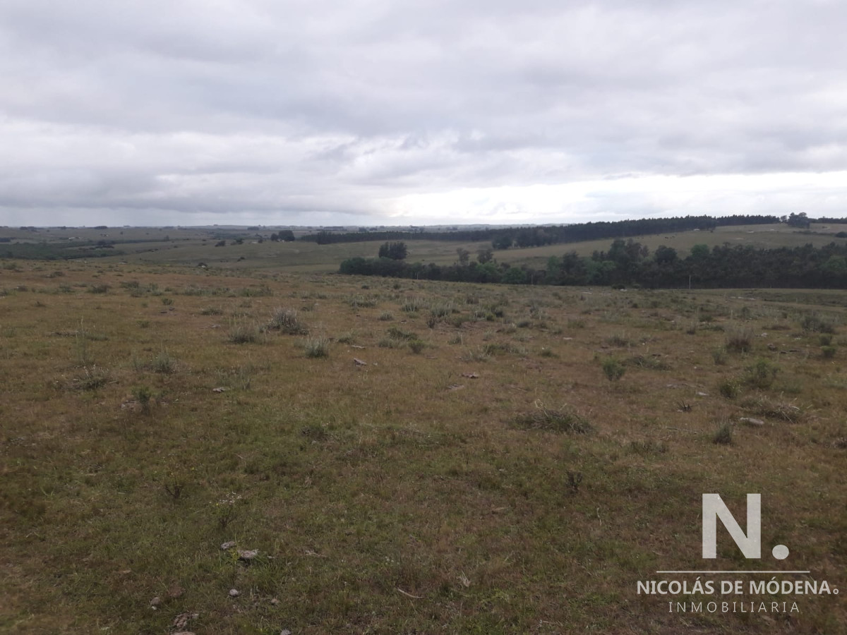 Campo de 47 has en Paraje los Caracoles   Consulte !!!!! - GoPunta - Portal Inmobiliario de Punta del Este - Maldonado