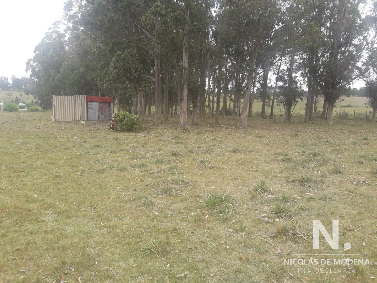 Campo de 12 has en Paraje José Ignacio. Consulte !!!!! - GoPunta - Portal Inmobiliario de Punta del Este - Maldonado
