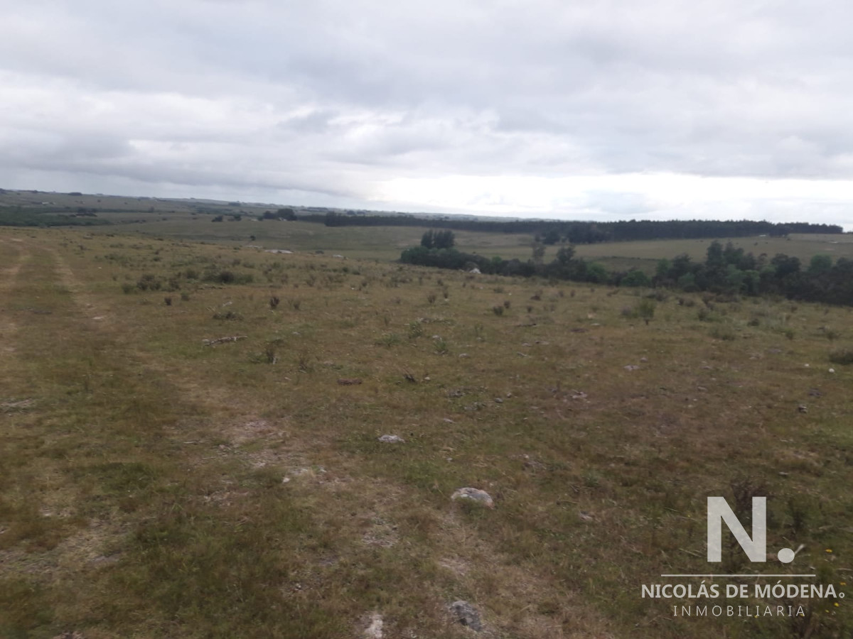 Campo de 47 has en Paraje los Caracoles   Consulte !!!!! - GoPunta - Portal Inmobiliario de Punta del Este - Maldonado
