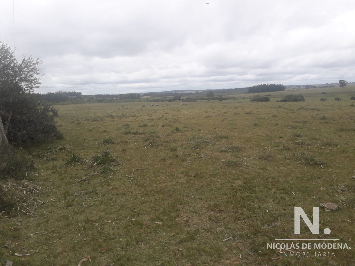 Campo de 12 has en Paraje José Ignacio. Consulte !!!!! - GoPunta - Portal Inmobiliario de Punta del Este - Maldonado