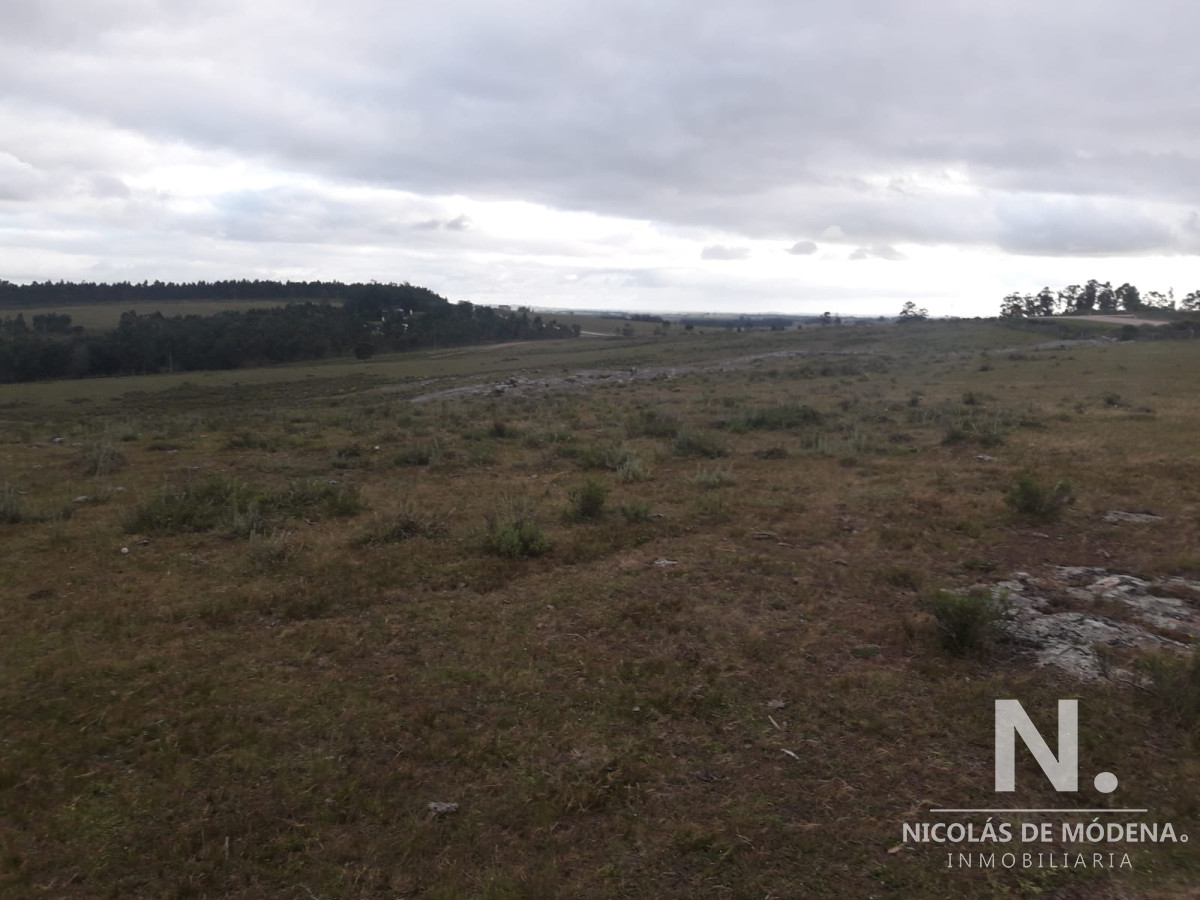 Campo de 47 has en Paraje los Caracoles   Consulte !!!!! - GoPunta - Portal Inmobiliario de Punta del Este - Maldonado