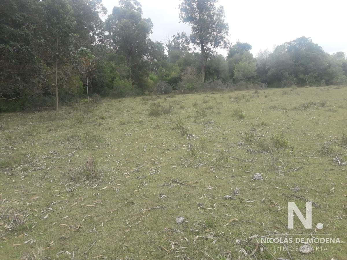 Campo de 12 has en Paraje José Ignacio. Consulte !!!!! - GoPunta - Portal Inmobiliario de Punta del Este - Maldonado