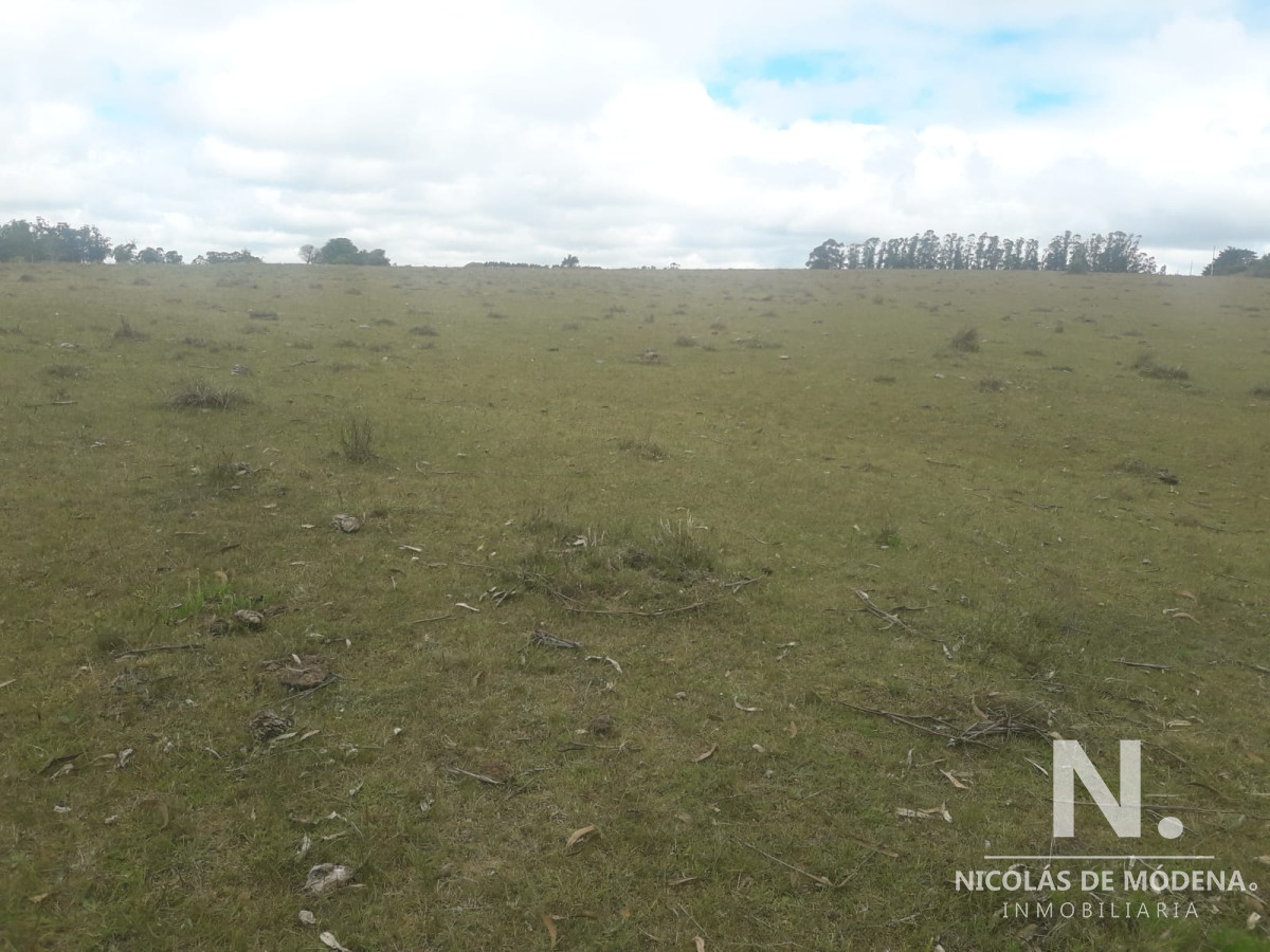 Campo de 12 has en Paraje José Ignacio. Consulte !!!!! - GoPunta - Portal Inmobiliario de Punta del Este - Maldonado