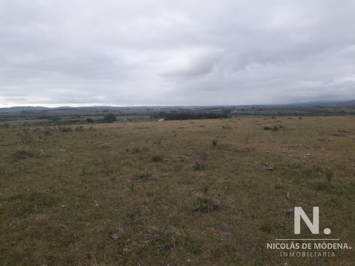 Campo de 47 has en Paraje los Caracoles   Consulte !!!!! - GoPunta - Portal Inmobiliario de Punta del Este - Maldonado