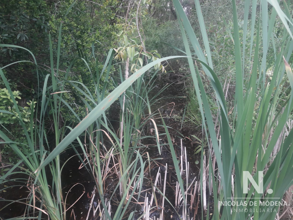 Campo de 12 has en Paraje José Ignacio. Consulte !!!!! - GoPunta - Portal Inmobiliario de Punta del Este - Maldonado