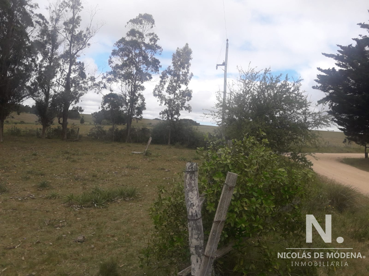 Campo de 12 has en Paraje José Ignacio. Consulte !!!!! - GoPunta - Portal Inmobiliario de Punta del Este - Maldonado