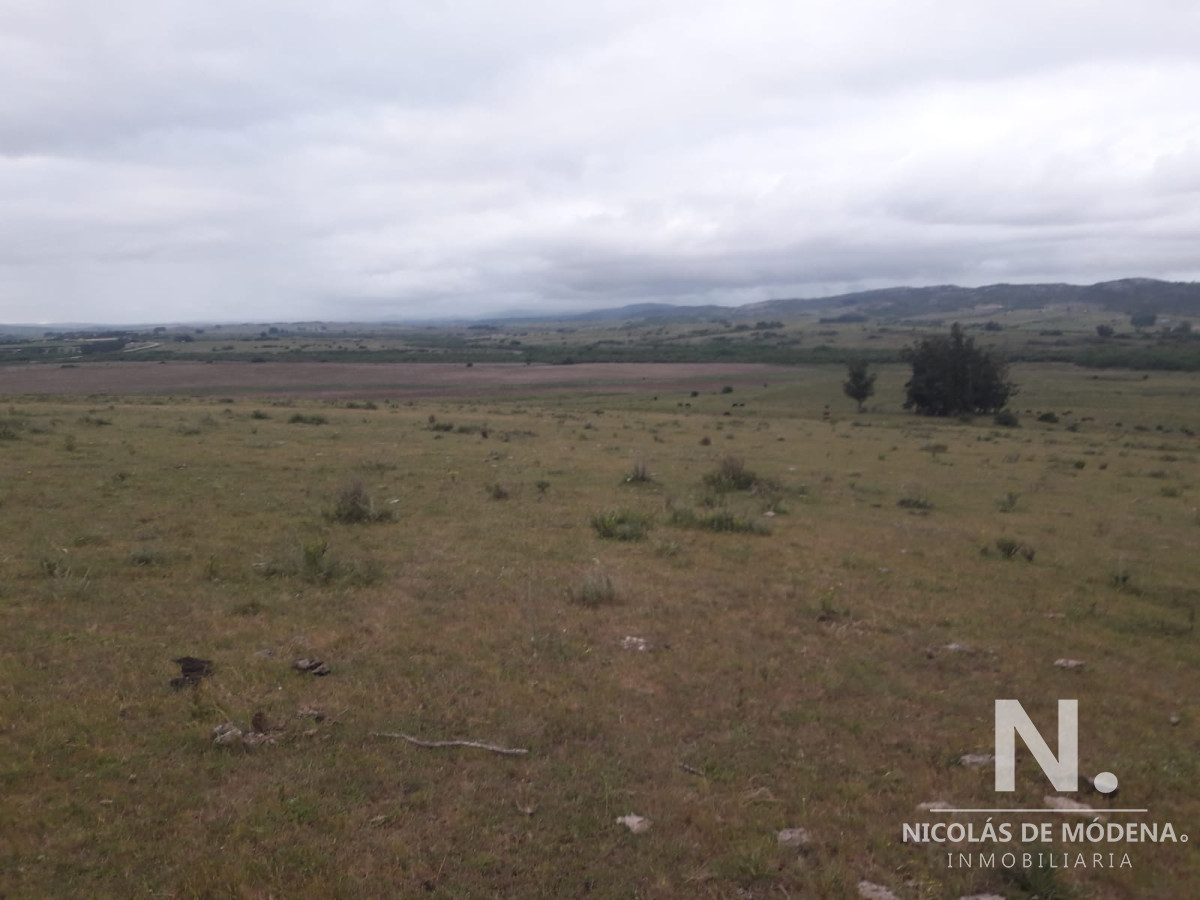 Campo de 47 has en Paraje los Caracoles   Consulte !!!!! - GoPunta - Portal Inmobiliario de Punta del Este - Maldonado