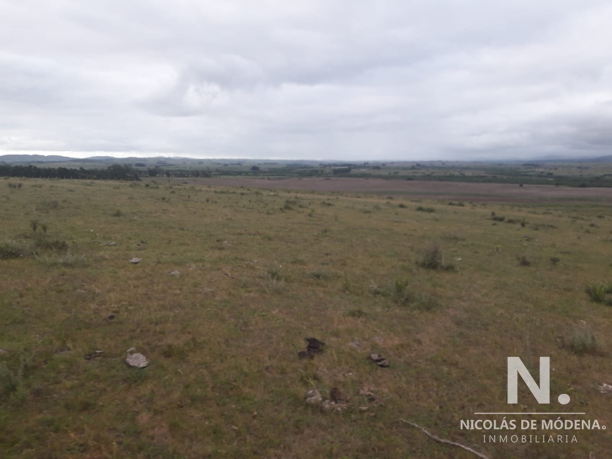 Campo de 47 has en Paraje los Caracoles   Consulte !!!!! - GoPunta - Portal Inmobiliario de Punta del Este - Maldonado