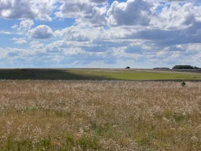 campo en durazno - far41301p