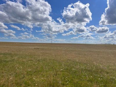 campo en durazno - far41301p