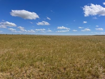 campo en durazno - far41301p