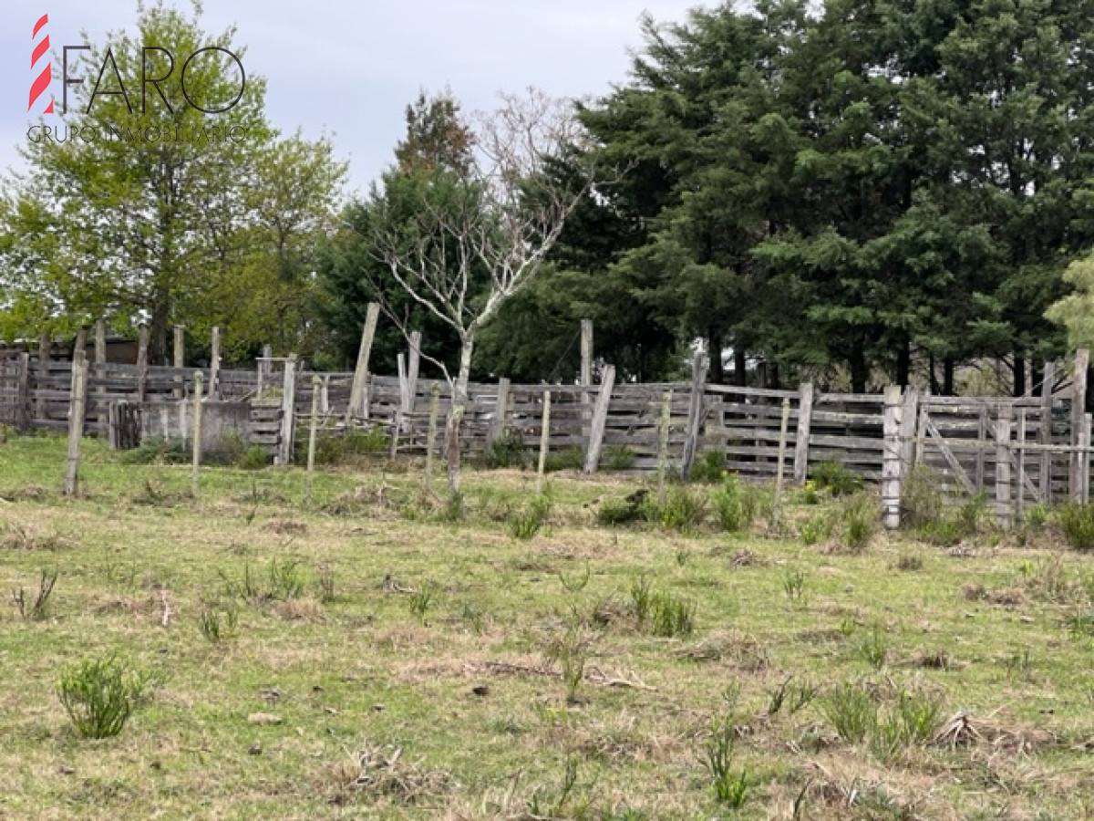 Campo de 22 has 6862 m2 cerca de Punta del Este - GoPunta - Portal Inmobiliario de Punta del Este - Maldonado