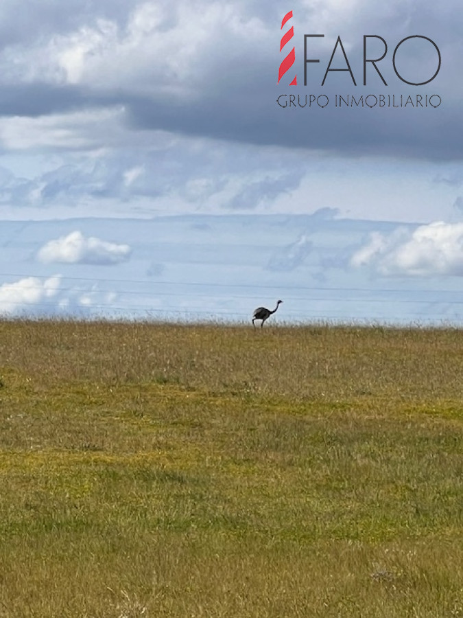Campo en Durazno - GoPunta - Portal Inmobiliario de Punta del Este - Maldonado