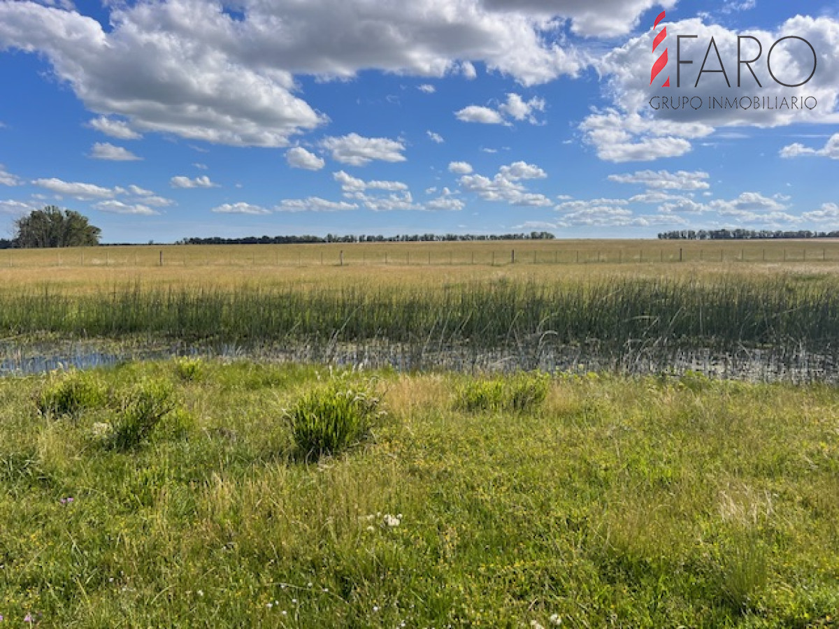 Campo en Durazno - GoPunta - Portal Inmobiliario de Punta del Este - Maldonado