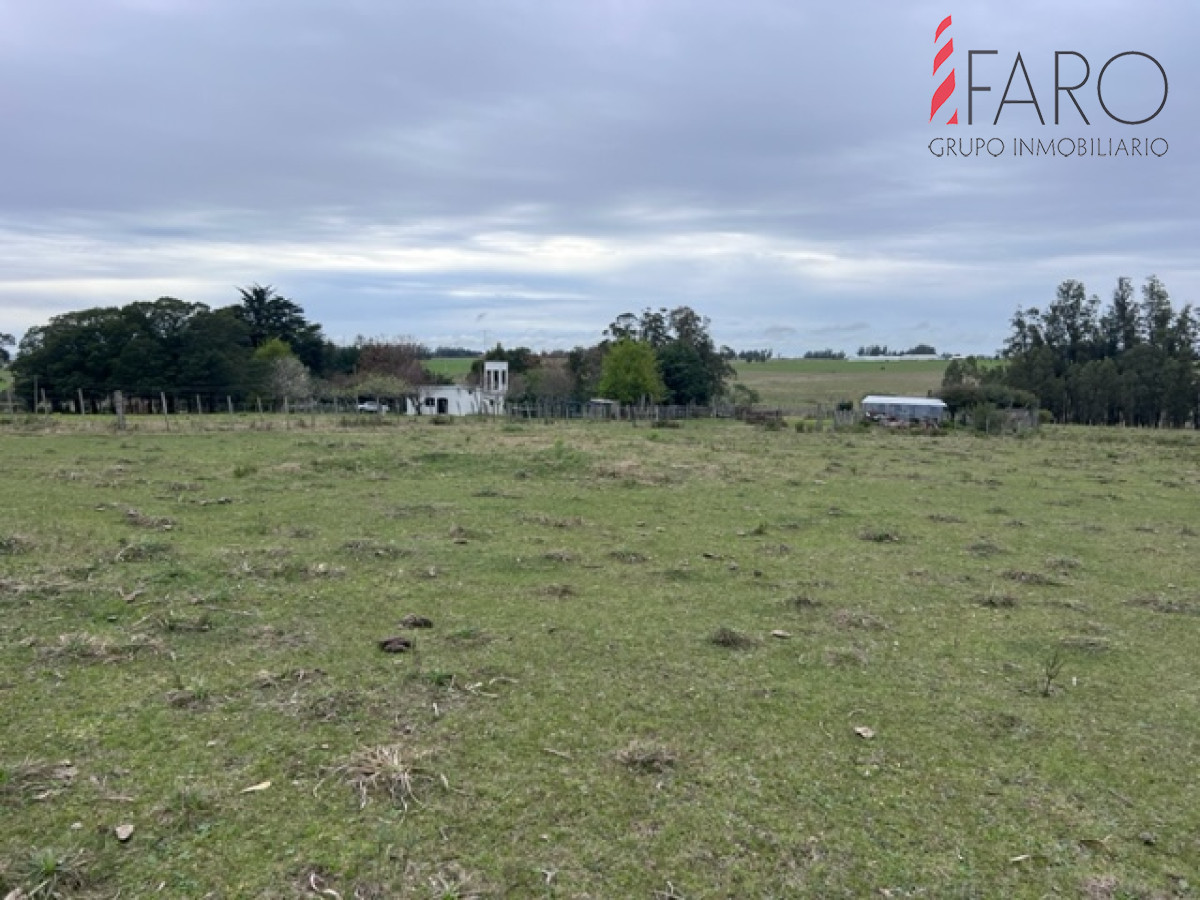 Campo de 22 has 6862 m2 cerca de Punta del Este - GoPunta - Portal Inmobiliario de Punta del Este - Maldonado