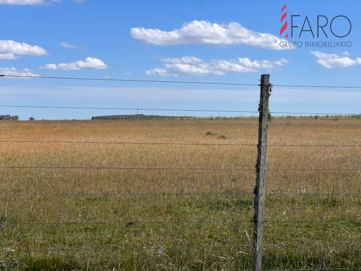 Campo en Durazno - GoPunta - Portal Inmobiliario de Punta del Este - Maldonado