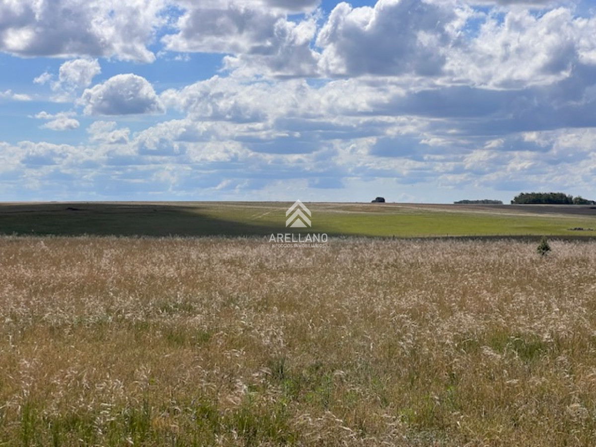 Campo Ref.3612 - Campo en Durazno