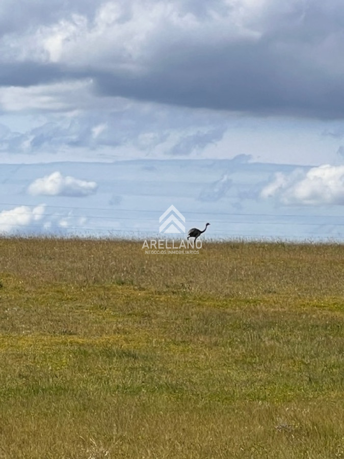 Campo Ref.3612 - Campo en Durazno