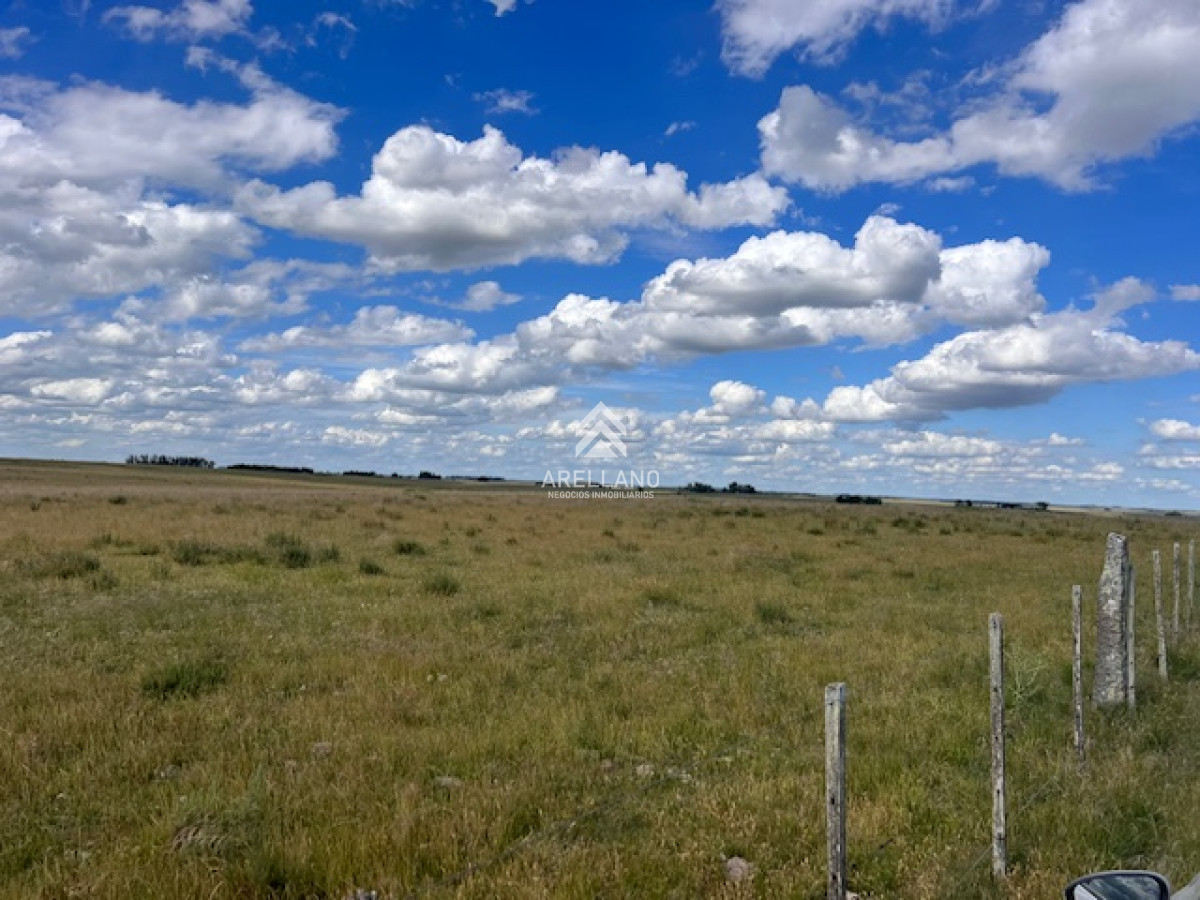 Campo Ref.3612 - Campo en Durazno