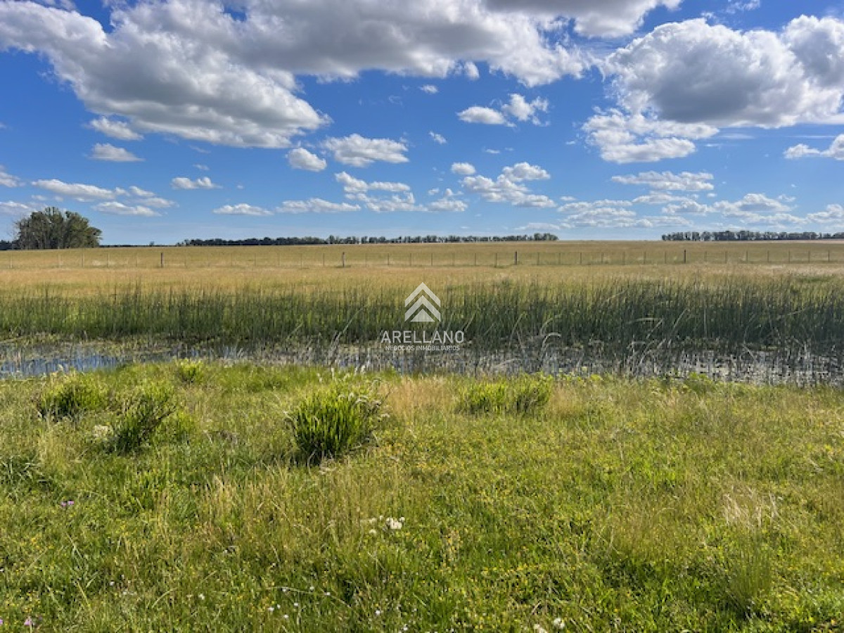 Campo Ref.3612 - Campo en Durazno