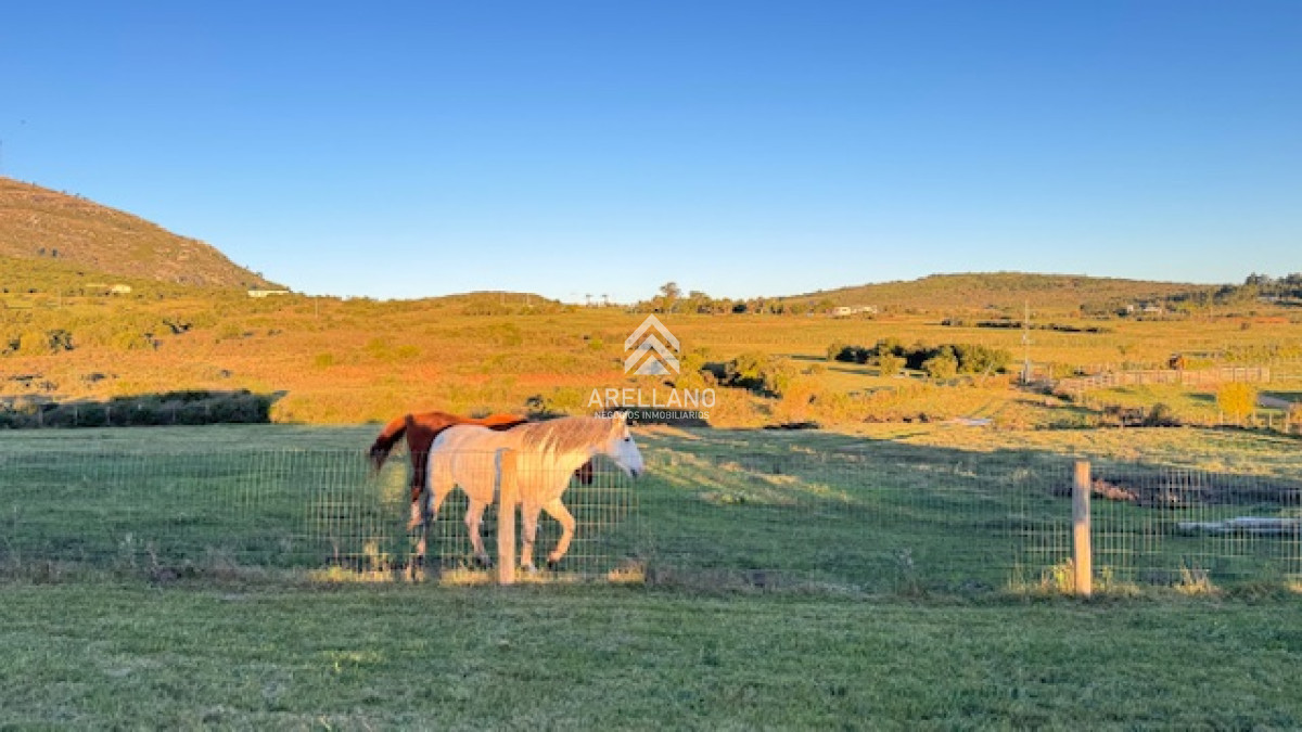 Campo Ref.3611 - Chacra de 6 has con 664 m2 - cerca de Piriapolis
