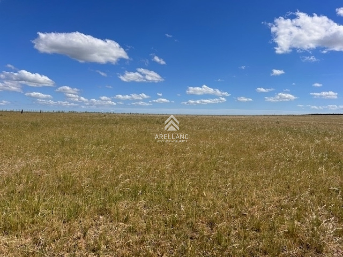 Campo Ref.3612 - Campo en Durazno