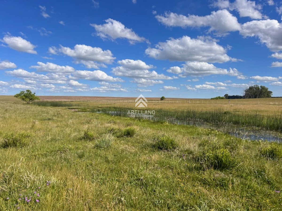 Campo Ref.3612 - Campo en Durazno