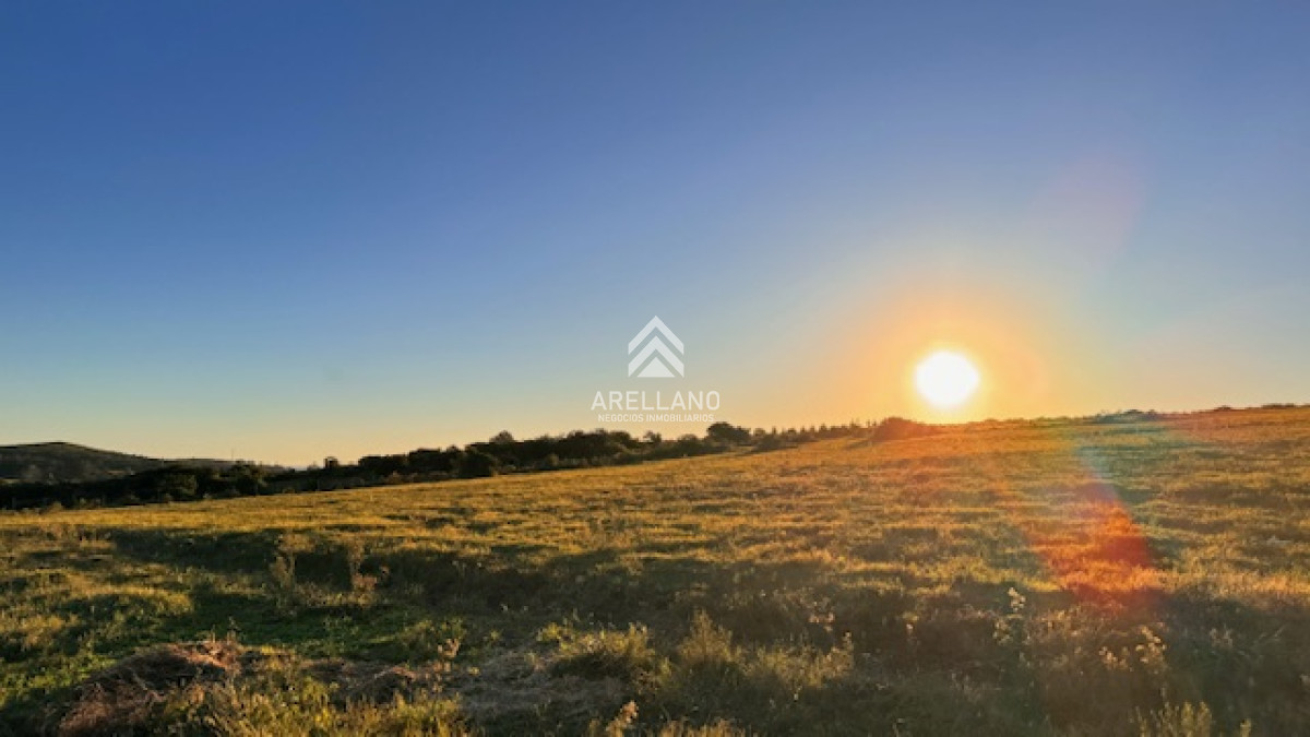 Campo Ref.3611 - Chacra de 6 has con 664 m2 - cerca de Piriapolis