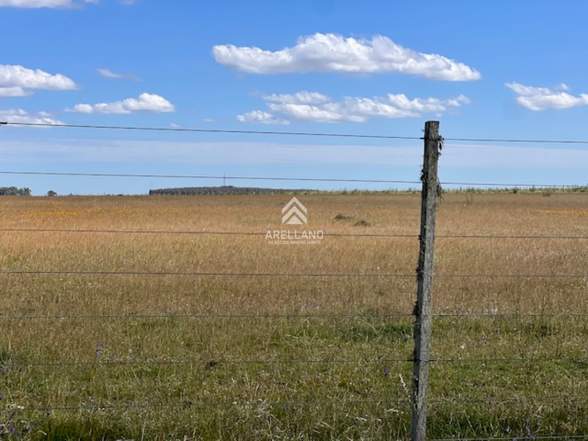 Campo Ref.3612 - Campo en Durazno