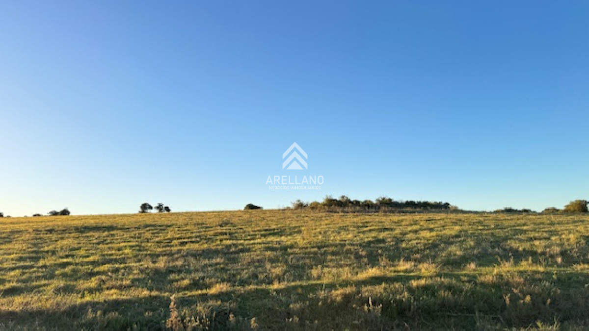 Campo Ref.3611 - Chacra de 6 has con 664 m2 - cerca de Piriapolis