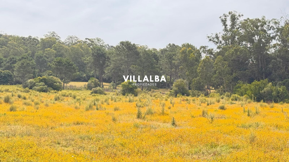 Chacra ID.4090 - Campo de 5 has con 4658 m2 en La Pataia 