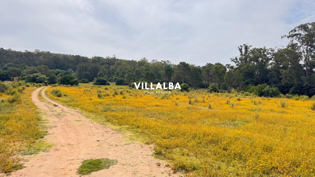 Chacra ID.4090 - Campo de 5 has con 4658 m2 en La Pataia 