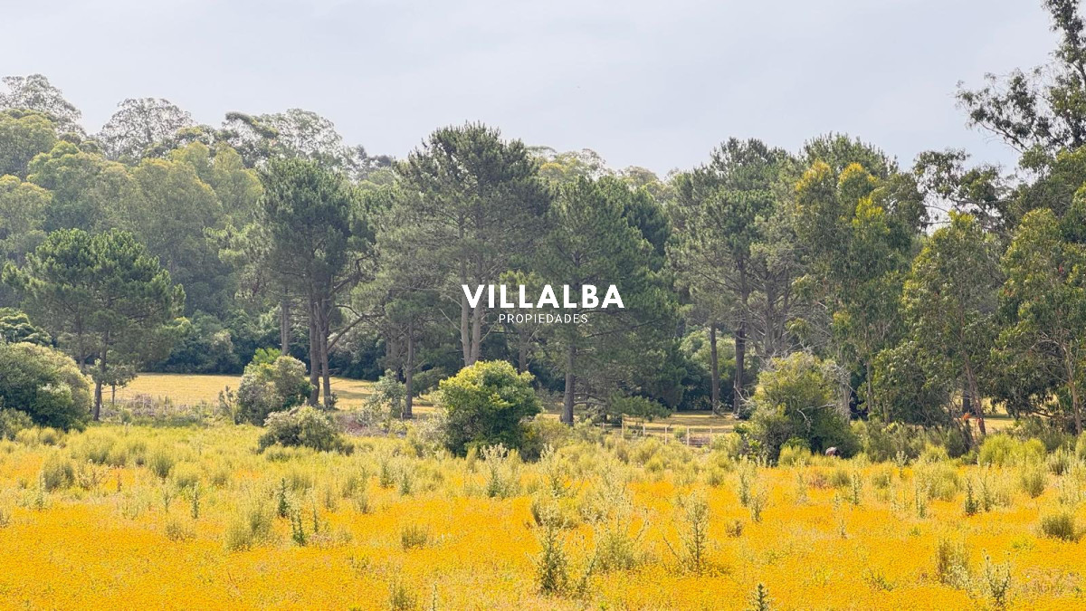 Chacra ID.4090 - Campo de 5 has con 4658 m2 en La Pataia 