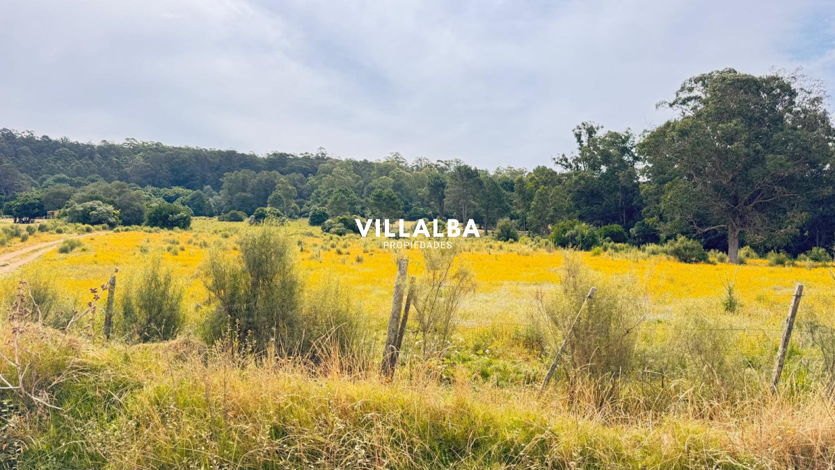 Chacra ID.4090 - Campo de 5 has con 4658 m2 en La Pataia 