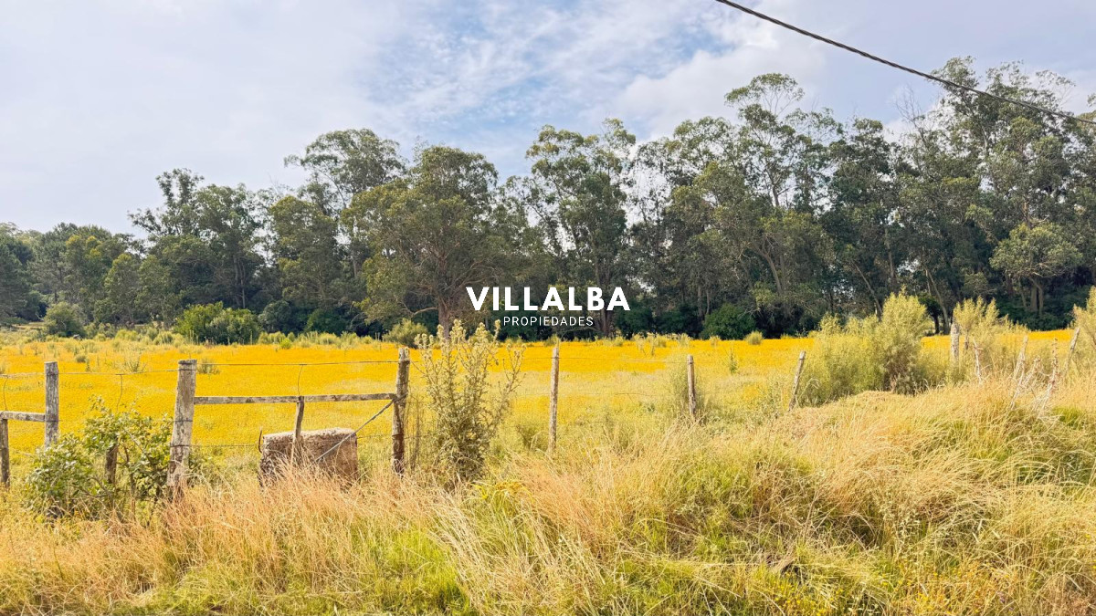 Chacra ID.4090 - Campo de 5 has con 4658 m2 en La Pataia 