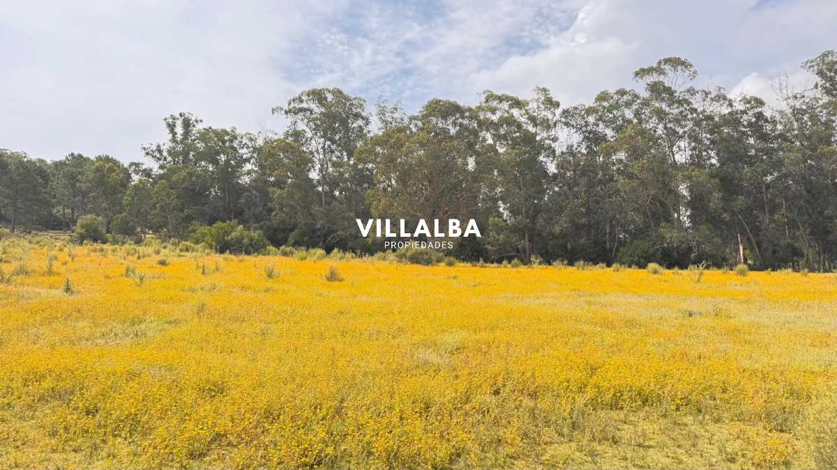 Chacra ID.4090 - Campo de 5 has con 4658 m2 en La Pataia 