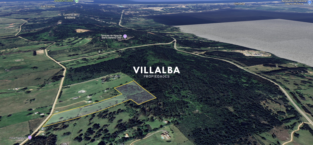 Chacra ID.4090 - Campo de 5 has con 4658 m2 en La Pataia 