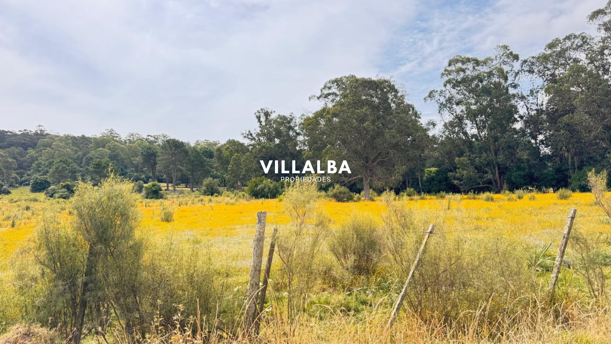 Chacra ID.4090 - Campo de 5 has con 4658 m2 en La Pataia 