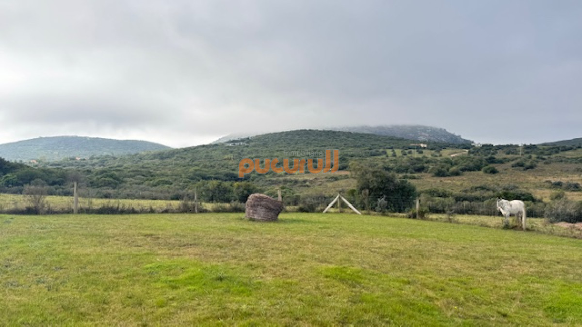 Campo Ref.1742 - Chacra de 6 has con 664 m2 - cerca de Piriapolis y del parque de fauna natural