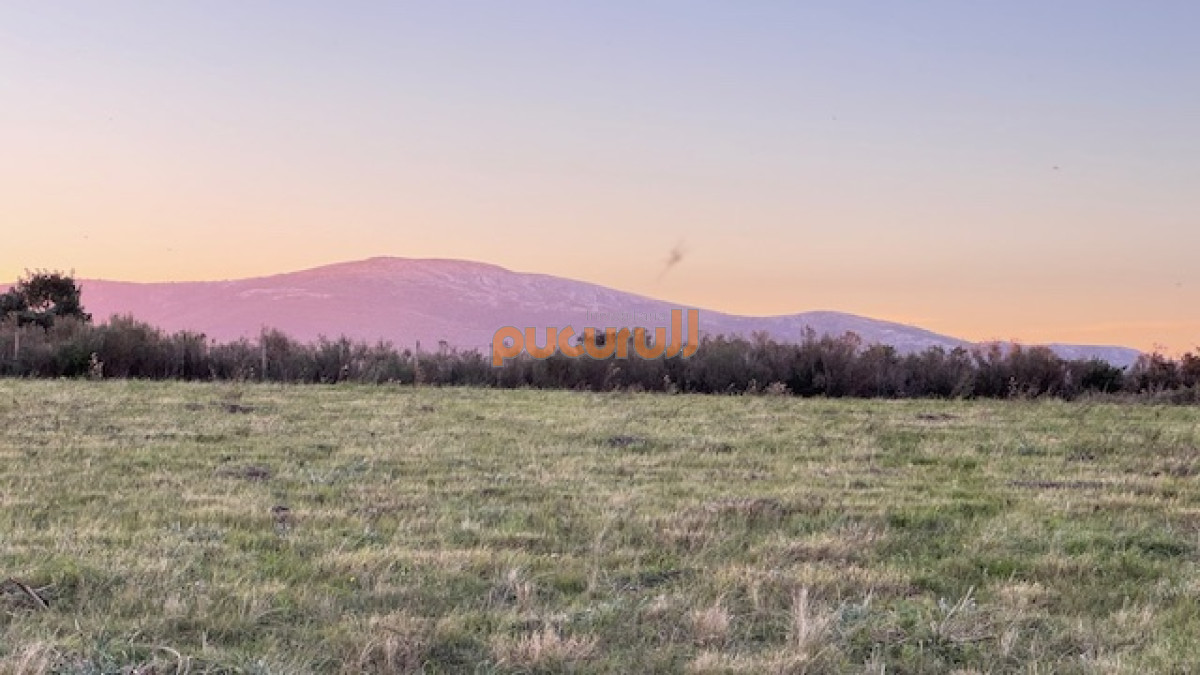 Campo Ref.1742 - Chacra de 6 has con 664 m2 - cerca de Piriapolis y del parque de fauna natural
