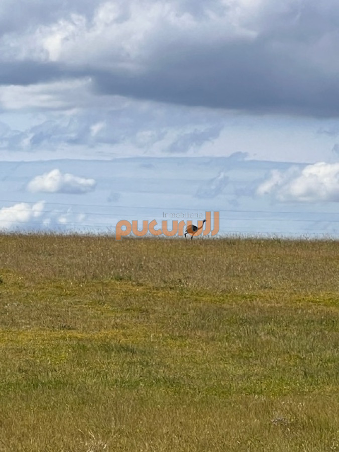 Campo en Durazno - GoPunta - Portal Inmobiliario de Punta del Este - Maldonado