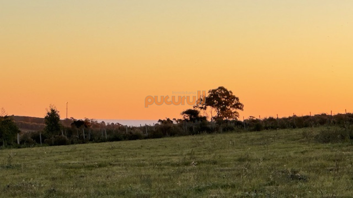 Chacra de 6 has con 664 m2   cerca de Piriapolis y del parque de fauna natural - GoPunta - Portal Inmobiliario de Punta del Este - Maldonado