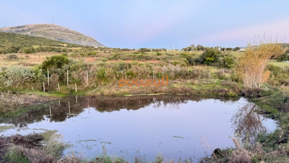Campo Ref.1742 - Chacra de 6 has con 664 m2 - cerca de Piriapolis y del parque de fauna natural