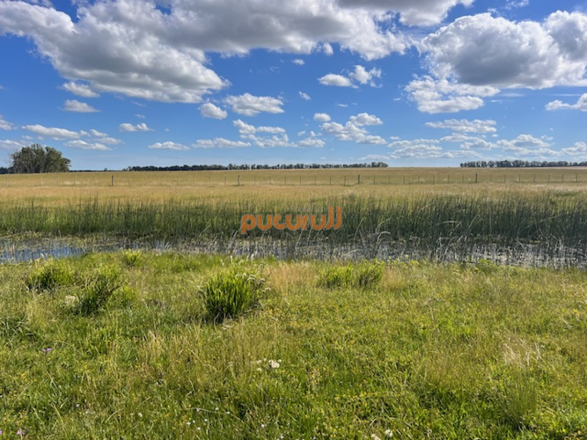 Campo en Durazno - GoPunta - Portal Inmobiliario de Punta del Este - Maldonado