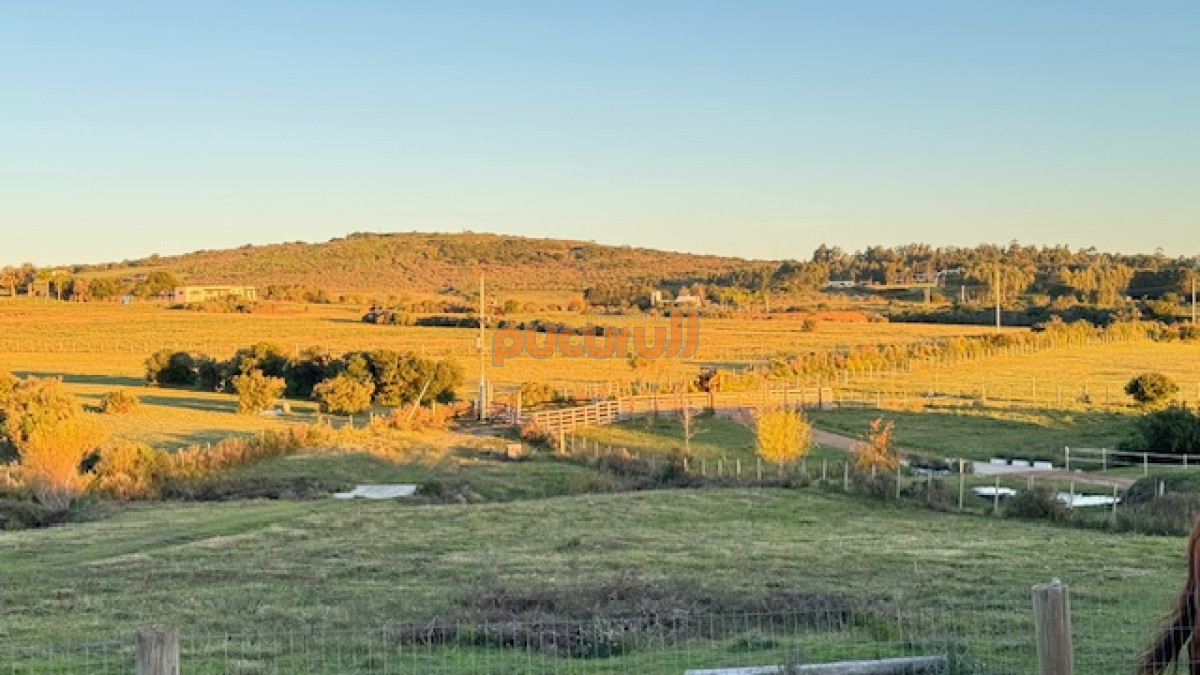 Campo Ref.1742 - Chacra de 6 has con 664 m2 - cerca de Piriapolis y del parque de fauna natural