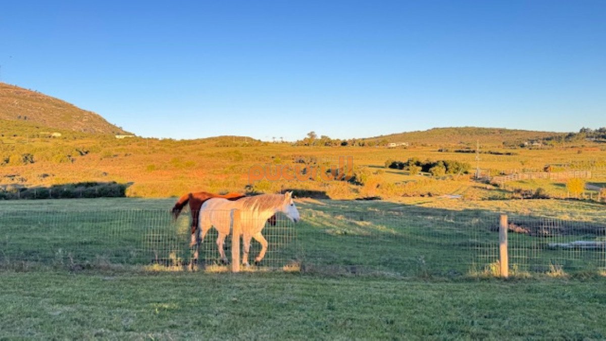 Campo Ref.1742 - Chacra de 6 has con 664 m2 - cerca de Piriapolis y del parque de fauna natural