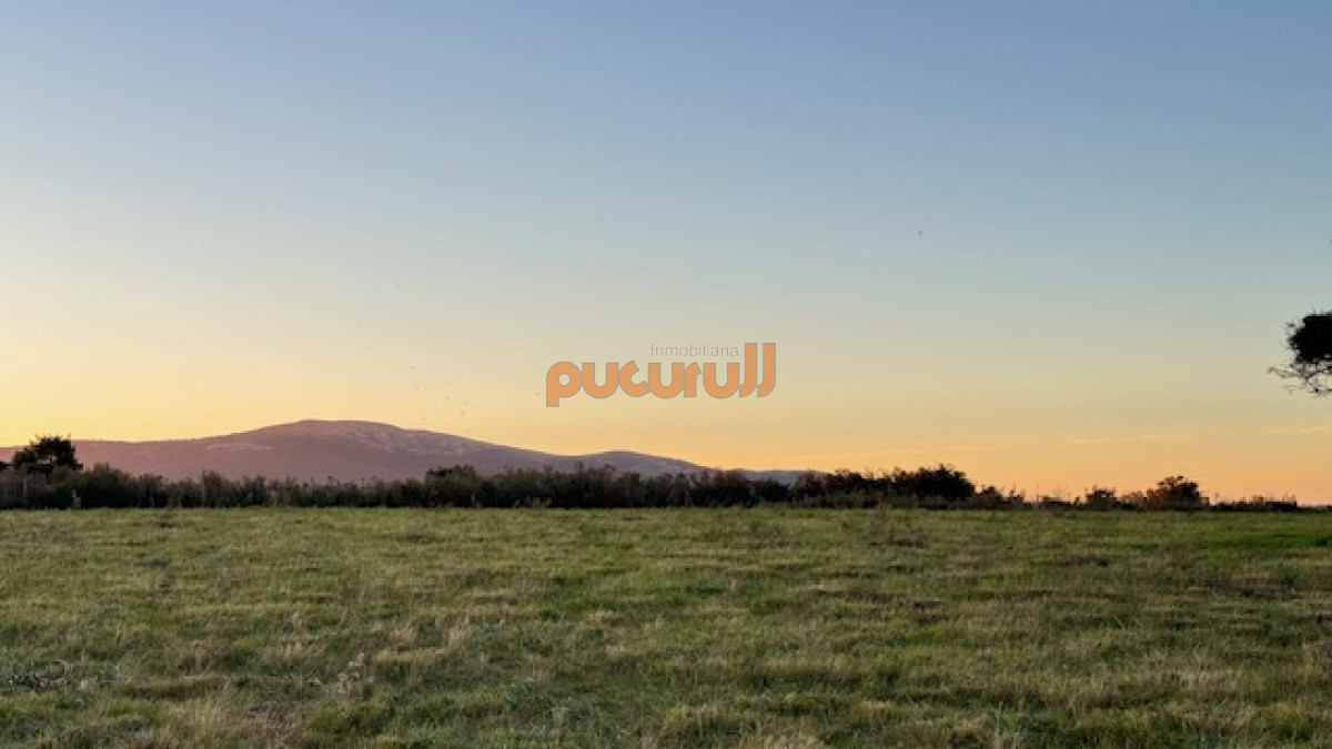 Campo Ref.1742 - Chacra de 6 has con 664 m2 - cerca de Piriapolis y del parque de fauna natural